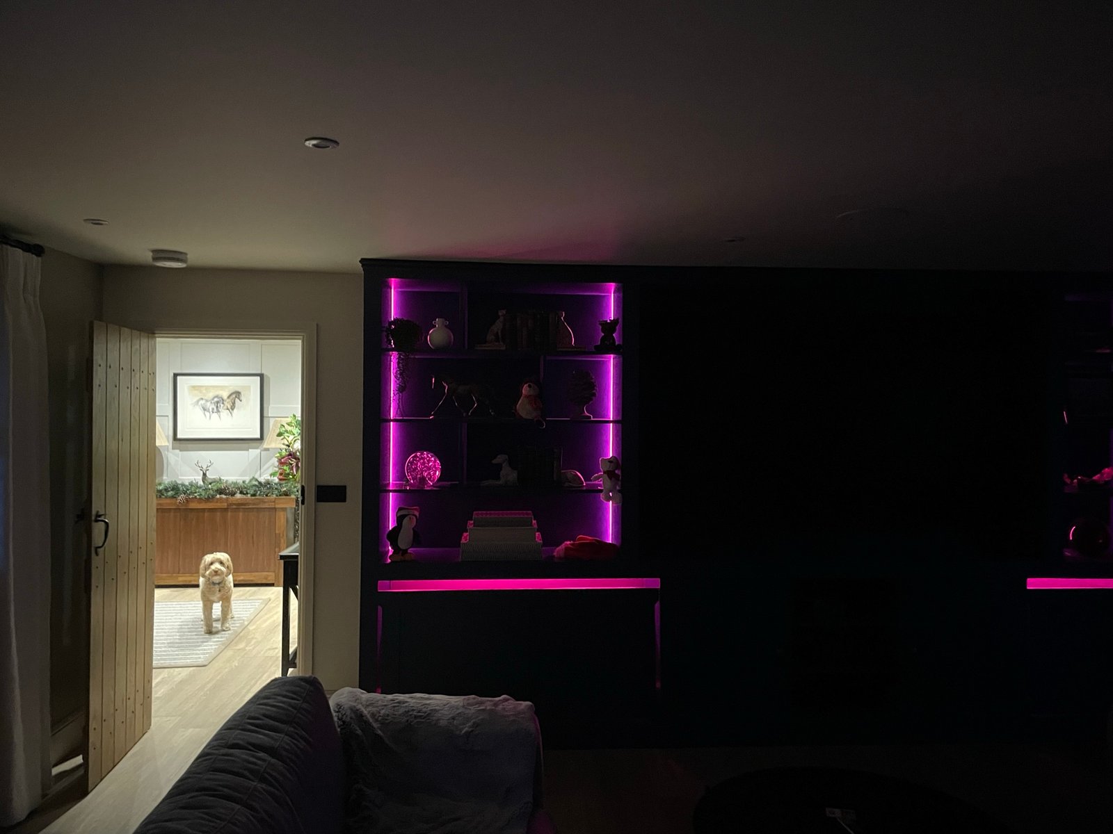 Mood Lighting Installation